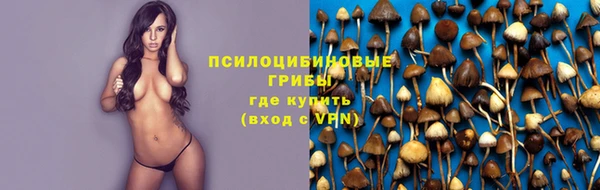 индика Навашино
