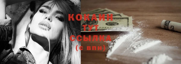 индика Навашино