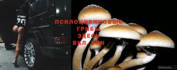 хмурый Березники