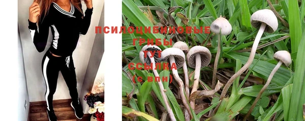 индика Навашино