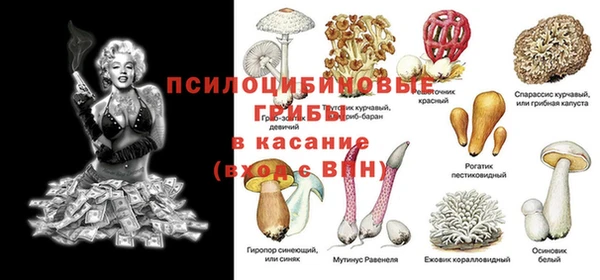 прущий лед Нефтекумск
